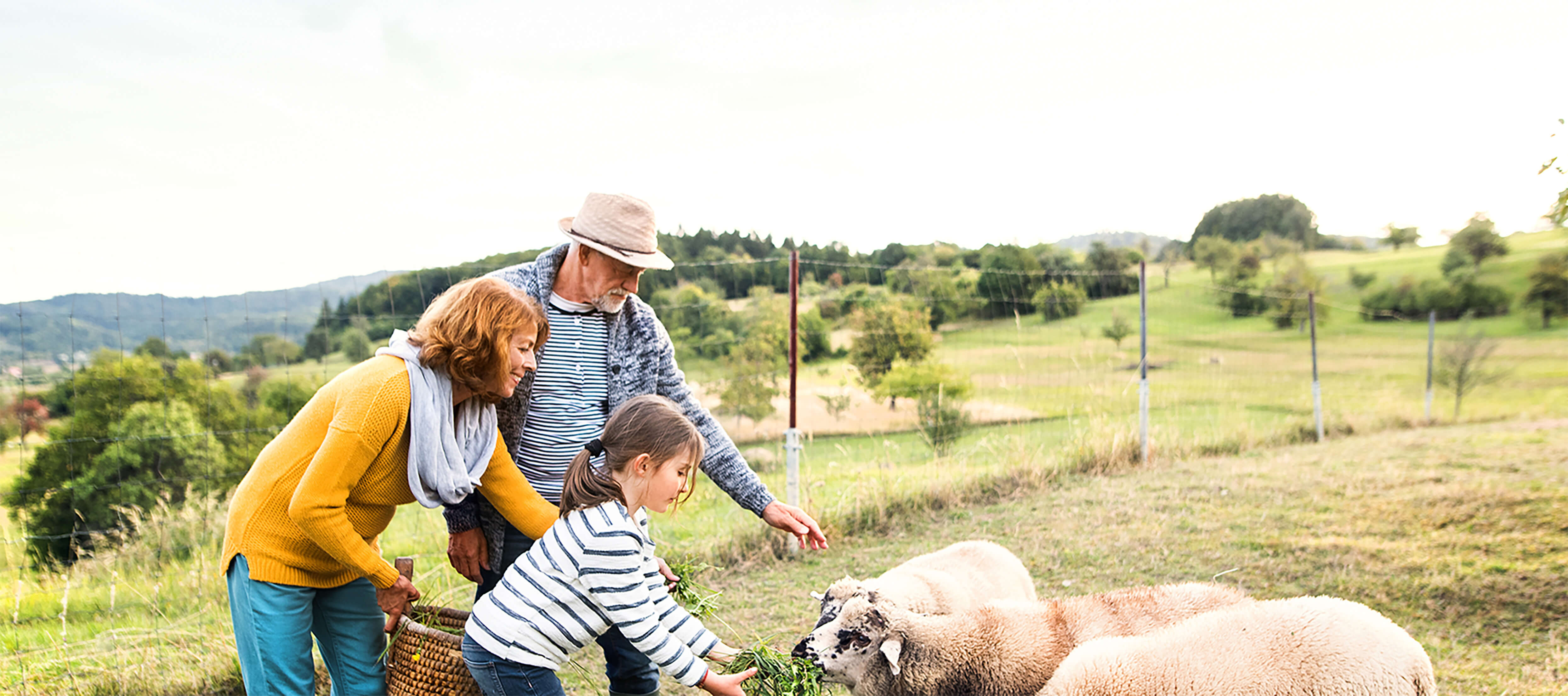 Emergencies Barnlight Kids Dental